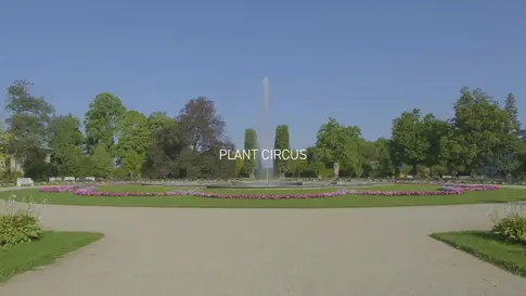 Plant Circus (2023) Katharina Mludek, Katrin Schwarz, Julia Sulikowska.