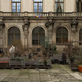 Der Garten im Japanischen Palais mit seinen Holzpflanzblöcken, Hochbeeten und Sitzgelegenheiten im Winter. Er trägt kaum Blätter und sieht etwas karg aus. Bald wird es hier wieder anders aussehen.