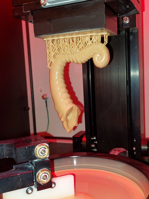 Der frisch gedruckte Rüssel im 3D-Drucker an der Druckplatte hängend.