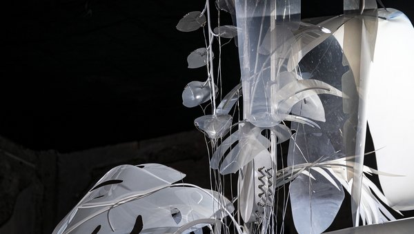 Thijs Biersteker, Wither, 2022. Installation im Japanischen Palais, Dresden