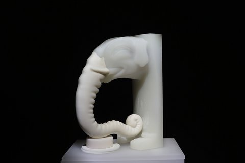 Ein Modell des Elefantenkopfes mit dem gedruckten Rüssel.